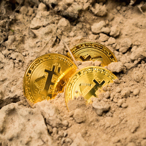 REFUGE GOLD AND BITCOIN